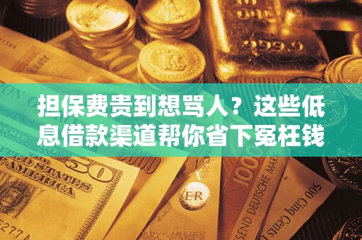 济南担保费贵到想骂人？这些低息借款渠道帮你省下冤枉钱