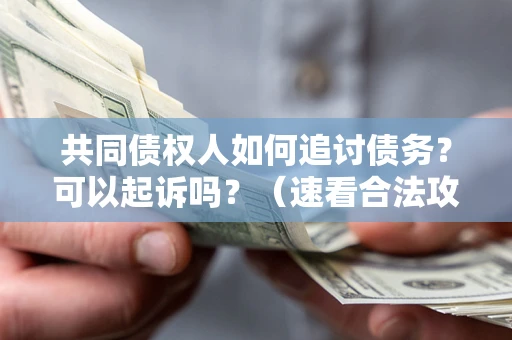 济南共同债权人如何追讨债务？可以起诉吗？（速看合法攻略）
